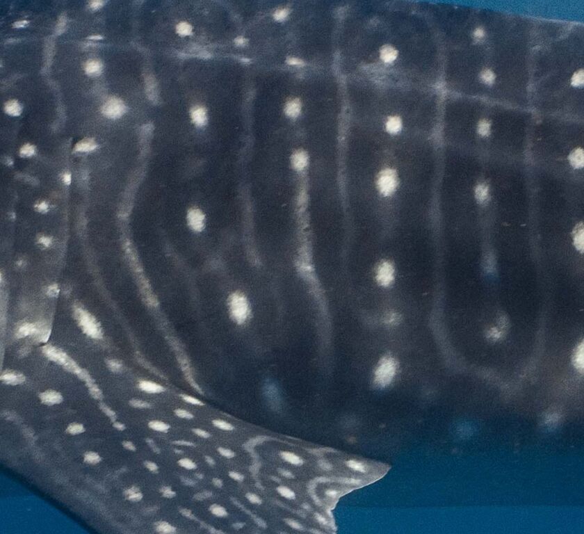 606b0d1e-24fb-48de-b900-c76eb4cde14d