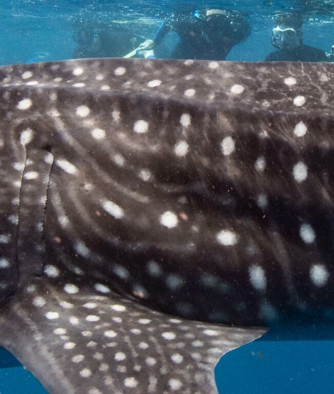 fdc14074-0075-4b91-a10a-1f6a61a685dc