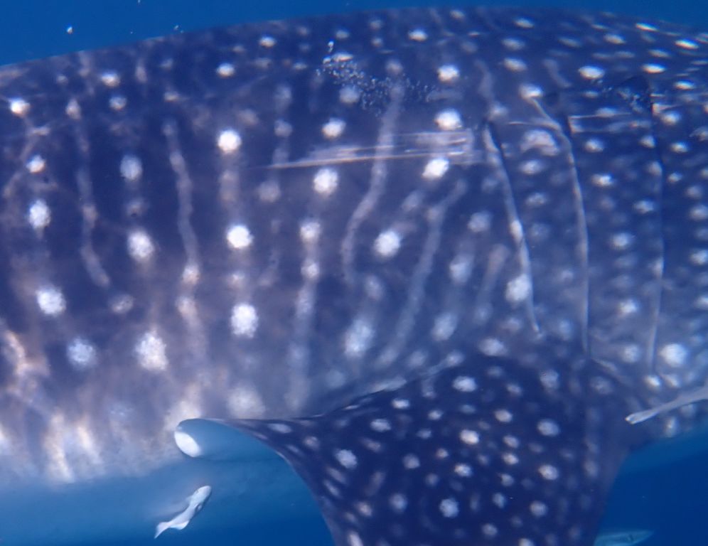 5d49e2c2-92f8-4eba-854e-fe18bd36ebb4