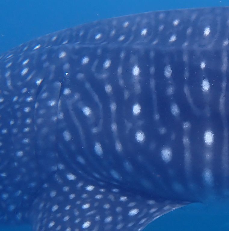 5d49e2c2-92f8-4eba-854e-fe18bd36ebb4