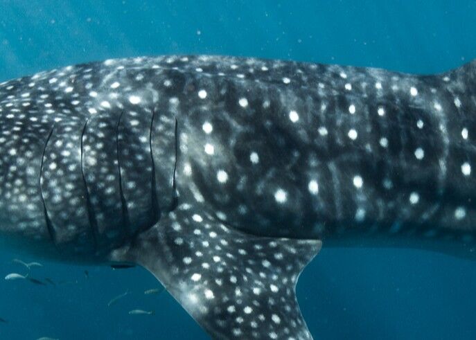 1354f61f-efc0-4fcf-ae20-6b00f677622c