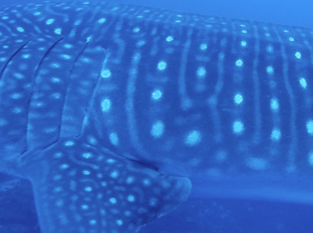 045005e9-bc79-4582-88c8-22efd8aa44fe