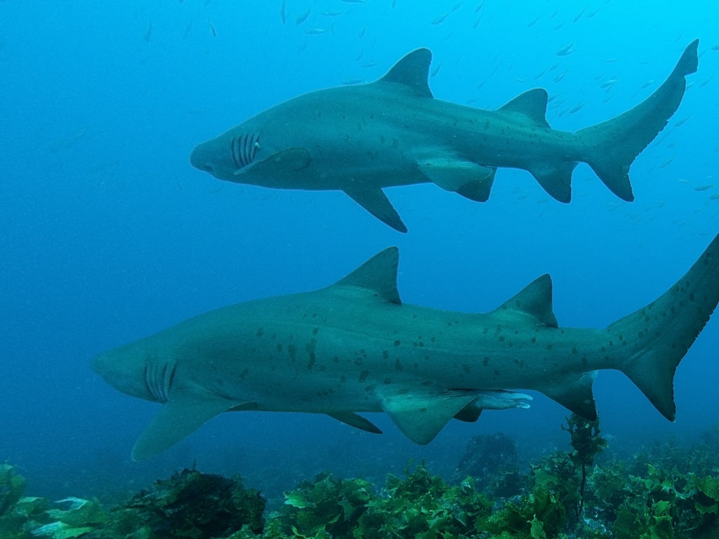 da520896-57e7-465f-b8ab-9145d82ecf35