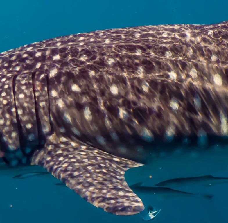 8a4185c2-5868-49e6-bdd6-3bd225affcec