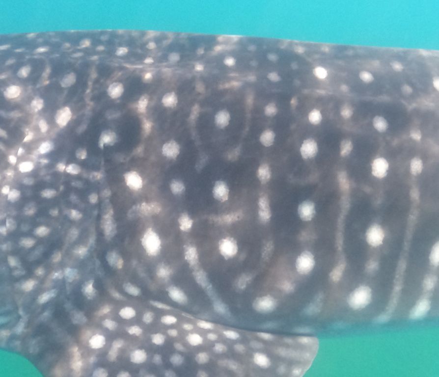 6bd5c373-22d8-4655-989b-4c794faba022