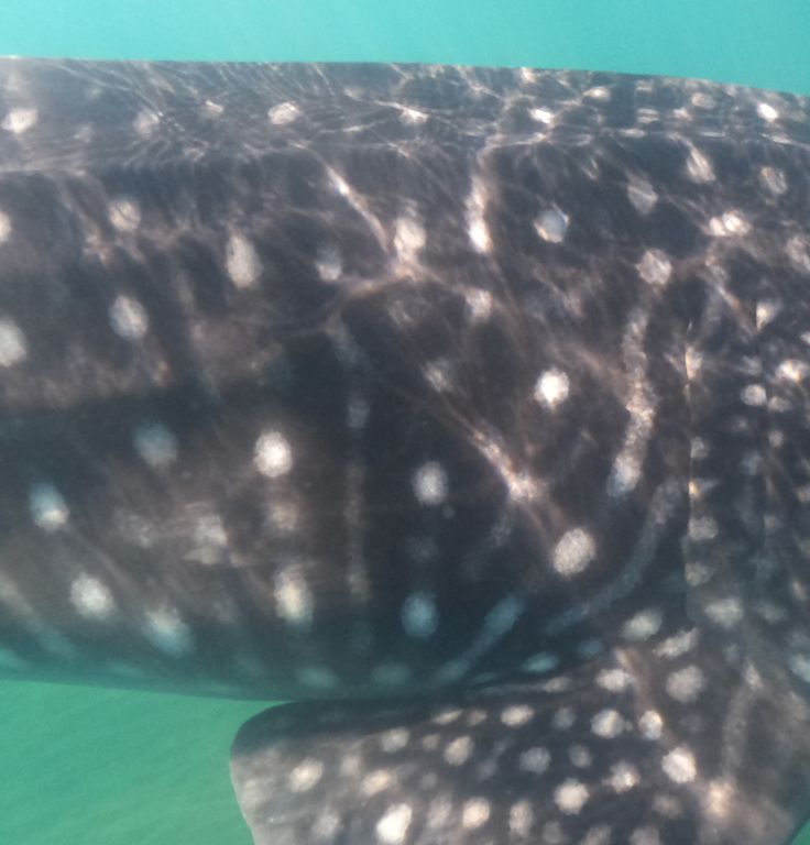 6bd5c373-22d8-4655-989b-4c794faba022