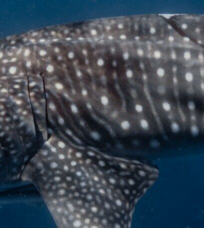 09ac36a2-8731-4e0c-9b8f-4ffd8b5561bd