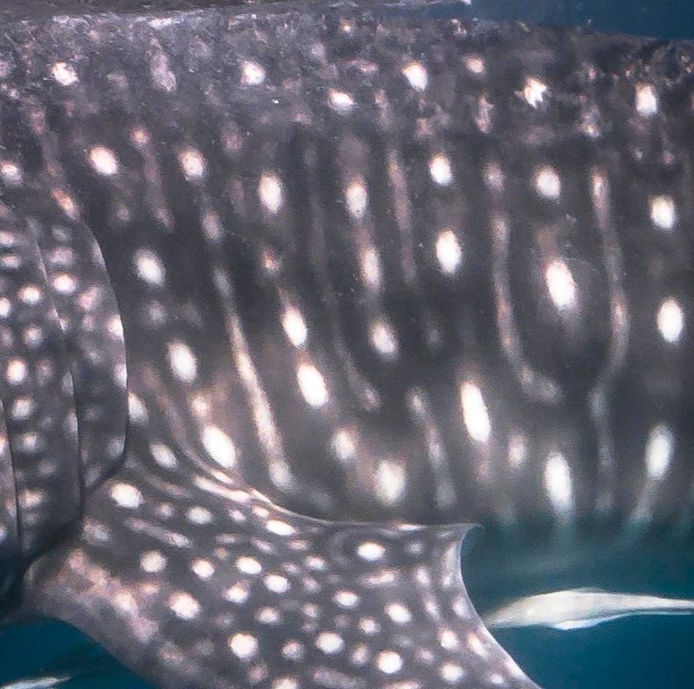 d8211a6e-8711-4305-9026-3b8d59e68231