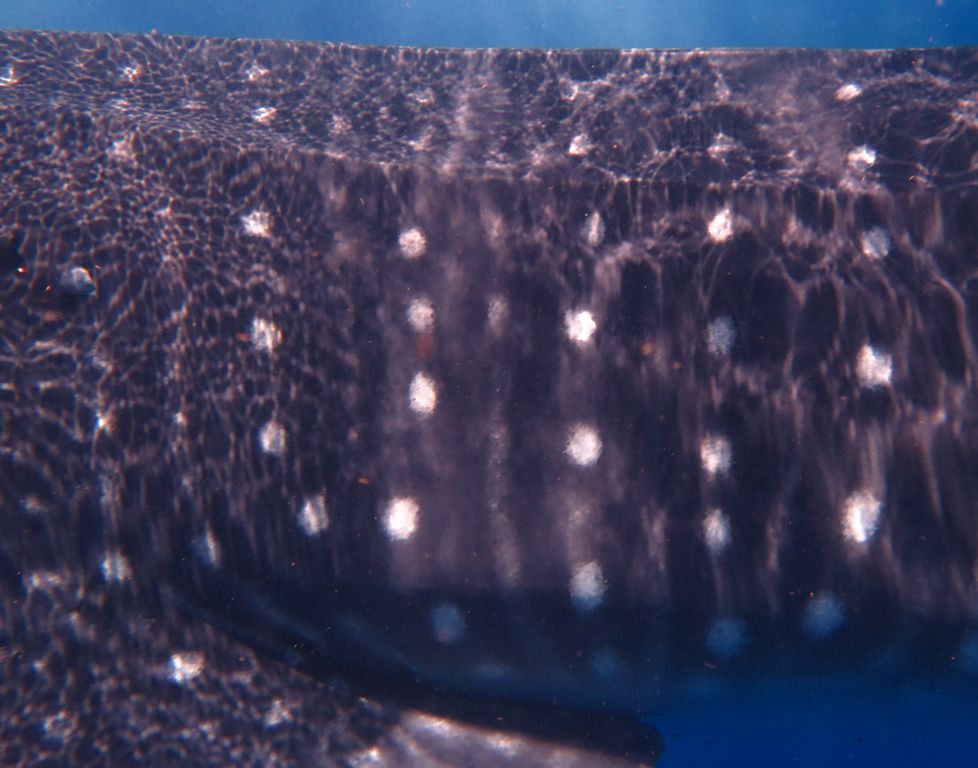 a964ac4c-6ec3-4916-93ec-b4bc49b03fa5