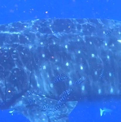 48e23443-ebe3-422f-aa7e-37207fb8f8b6