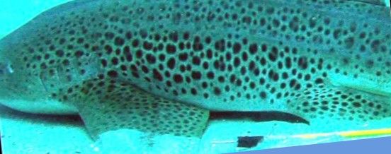 c3e68875-06aa-46eb-b65e-fee62c5fc117