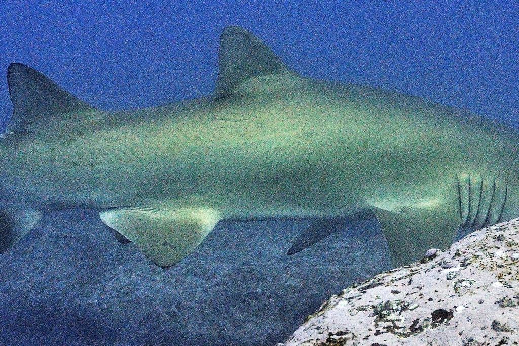 2dc9b0a1-44b7-40e7-8b70-808b604e09b6