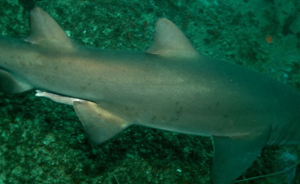 21917bea-8ca9-4684-9a6c-e0543c72e27b