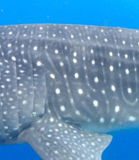 59aa8f5e-afff-43f1-aa66-b060678d7b2f