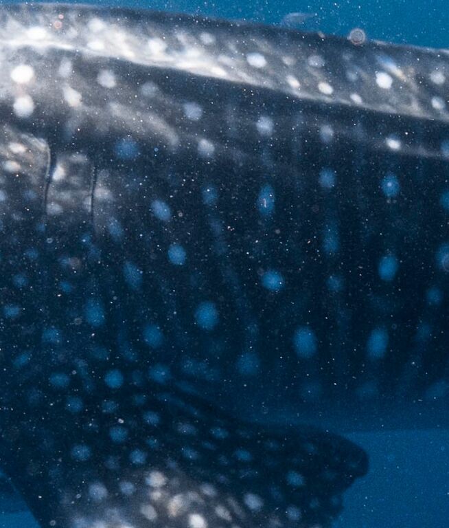 f6db7ccc-f1ff-4421-b5c5-4f98e36bb928