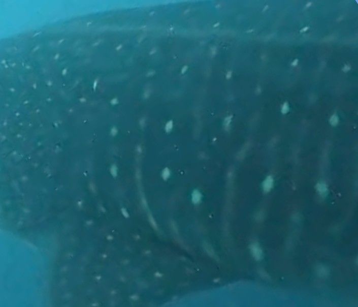 1f251b14-2ab2-4d5b-8b48-765773733a6e