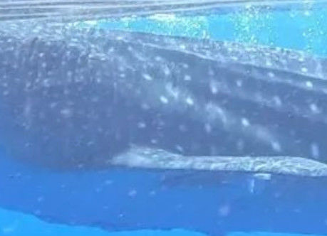 32b66e9a-b11c-4520-b7d4-520eac22b4bc