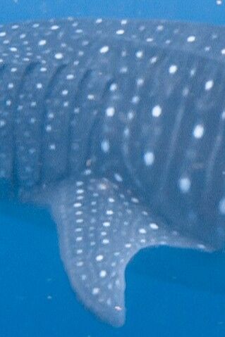 256745bc-d7cd-4bec-9600-e5fa68f1e91a