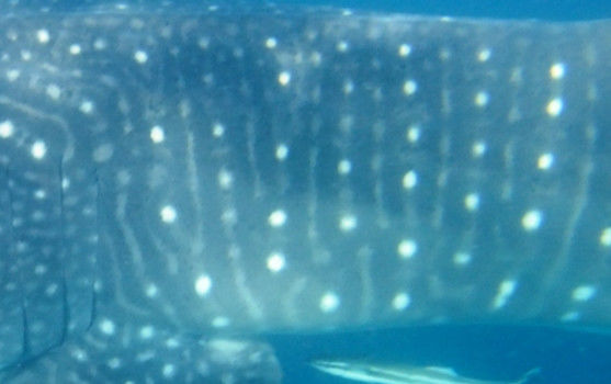 735933fb-1f4b-4411-9522-e10c27d854f2