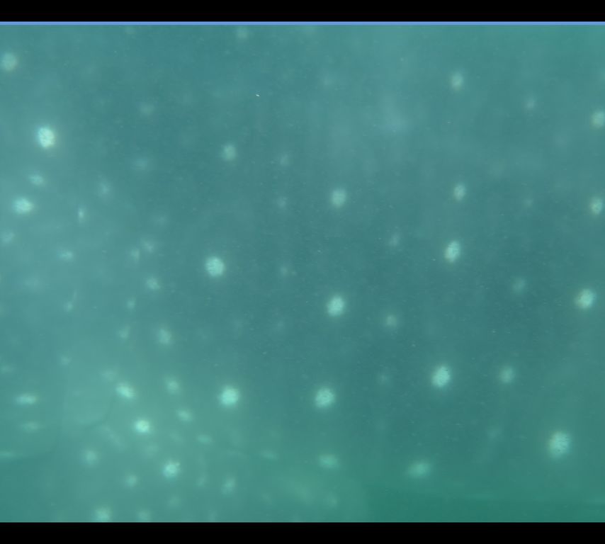 92c5b1ae-096e-44db-a97e-cd87abdd137d