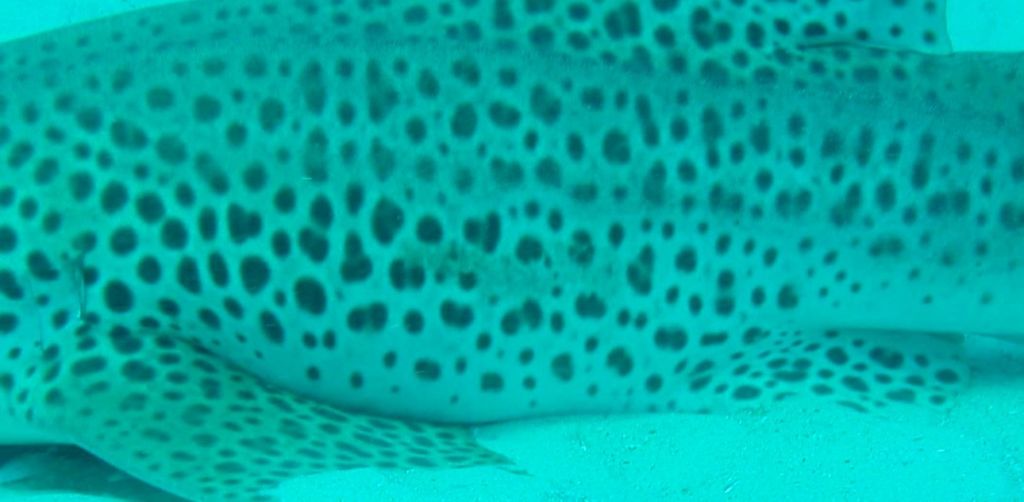 7063ed7a-c338-4c2e-9ef6-024010497365