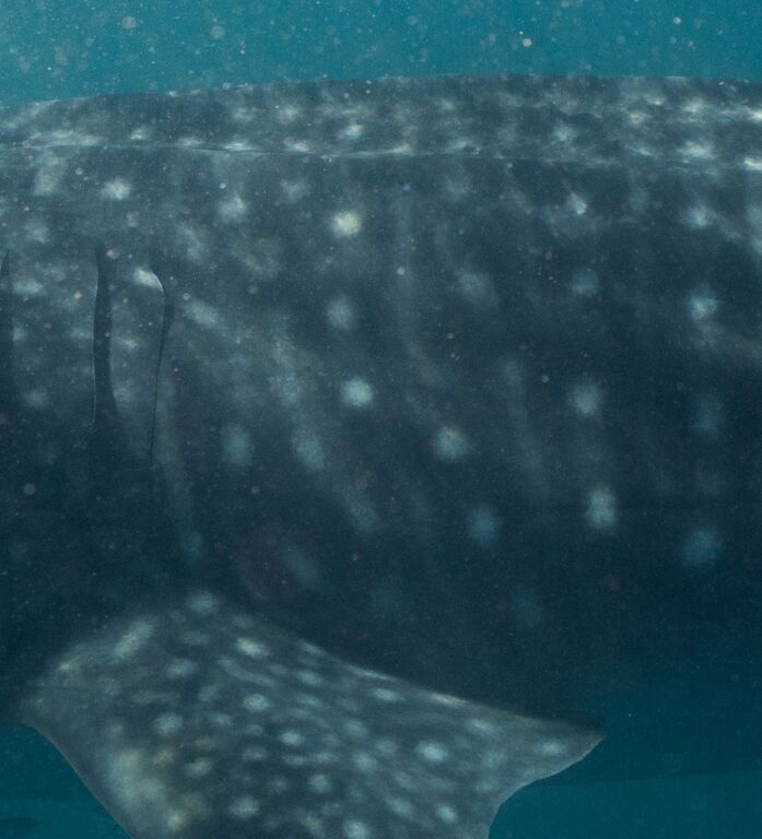 24adb028-bd17-4c48-99e0-aa82888af69b