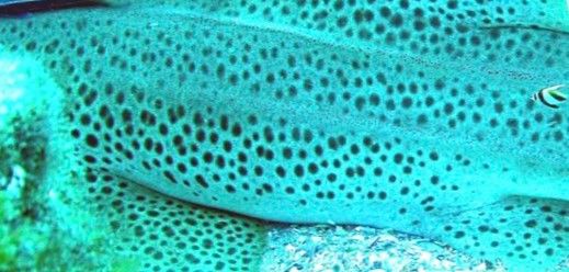 dcd28cec-6ec7-45a5-95d5-65ccd96f20f2