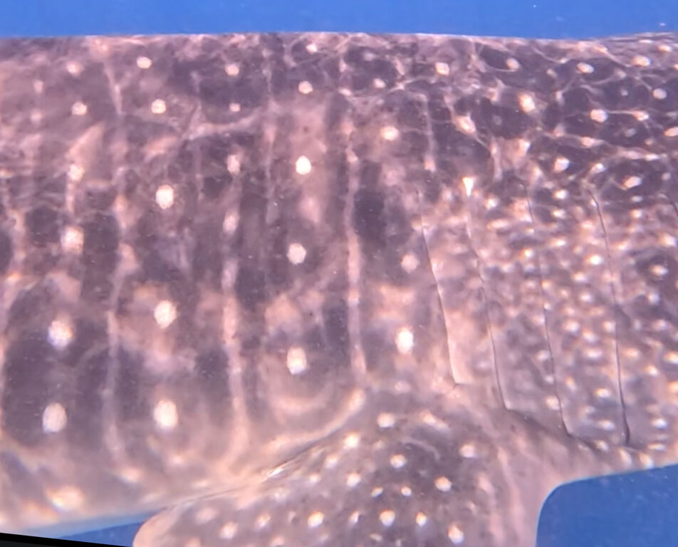 93b67437-0f47-4b8b-9006-033afa43f0d5