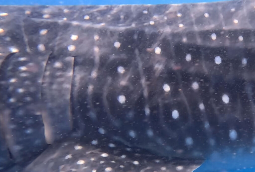 93b67437-0f47-4b8b-9006-033afa43f0d5