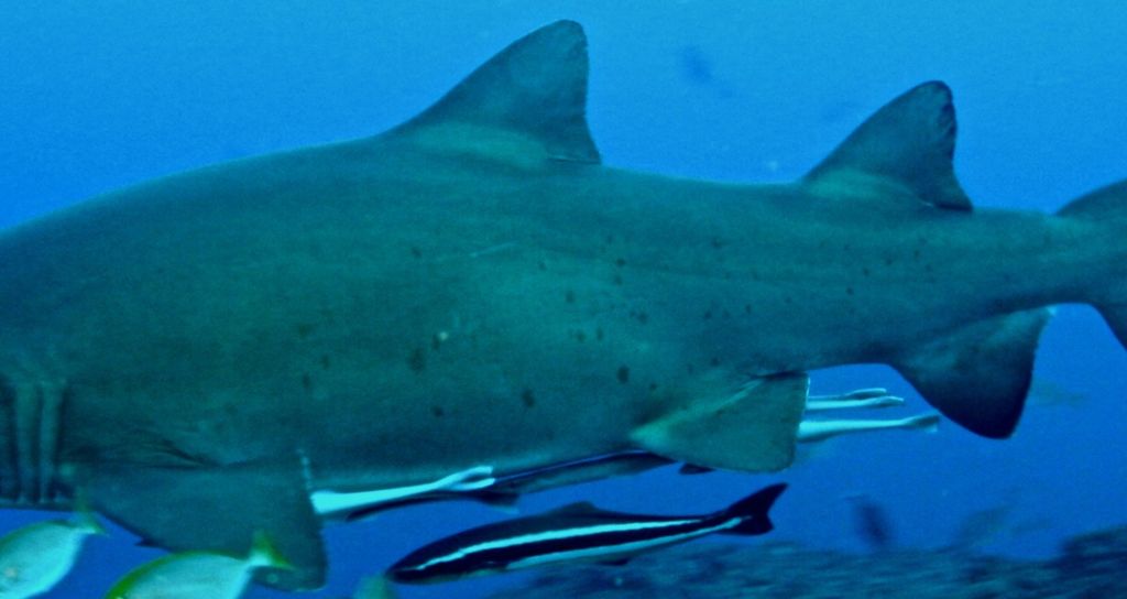 90dba4d5-e927-467e-97cf-8eaf6ab78cc7