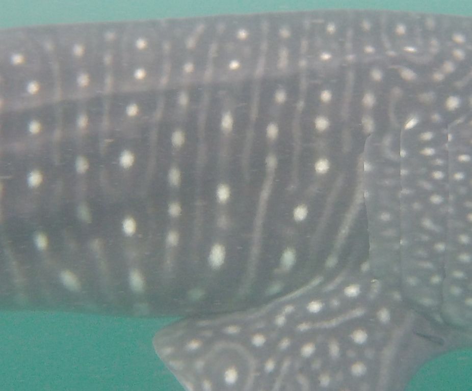 410df24a-fe77-49d1-9023-5729fa51fe99