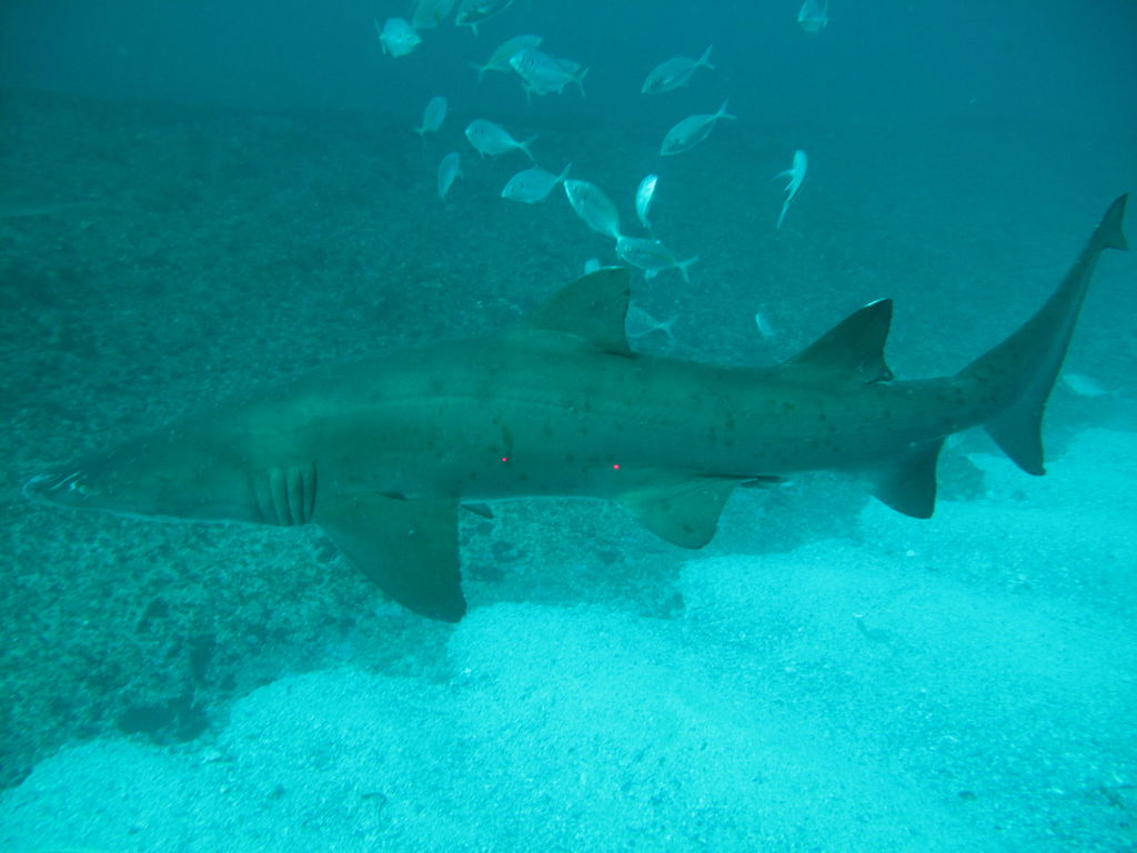 8dc07547-3ae5-4f1d-8a22-7baef5b7e07a