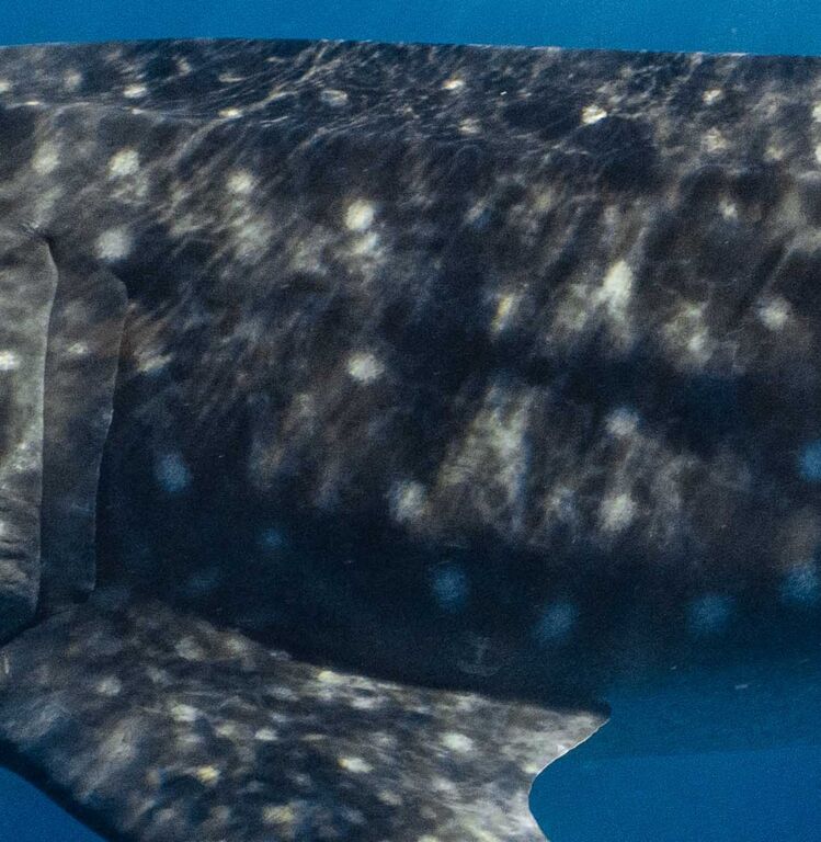 120176b1-ae4d-41d1-ad70-87ff7a4dfb56