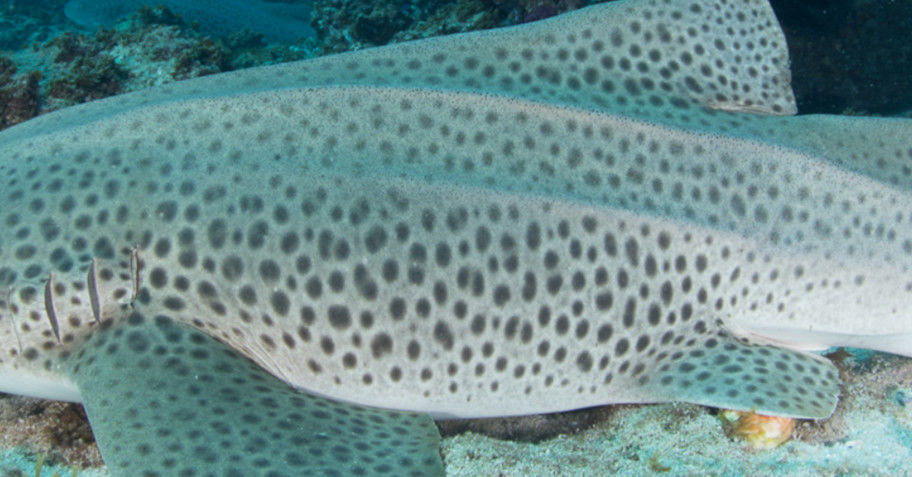 b98f690b-ff93-4f34-a2d8-5d540194d83f