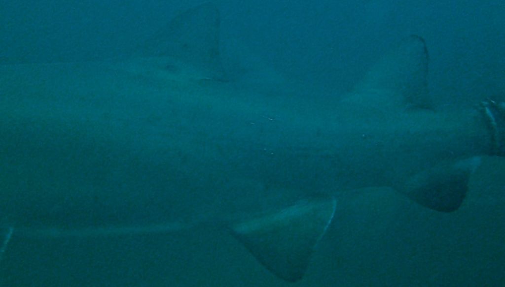 b1e31205-3da7-4787-8214-f25f9a7a28da