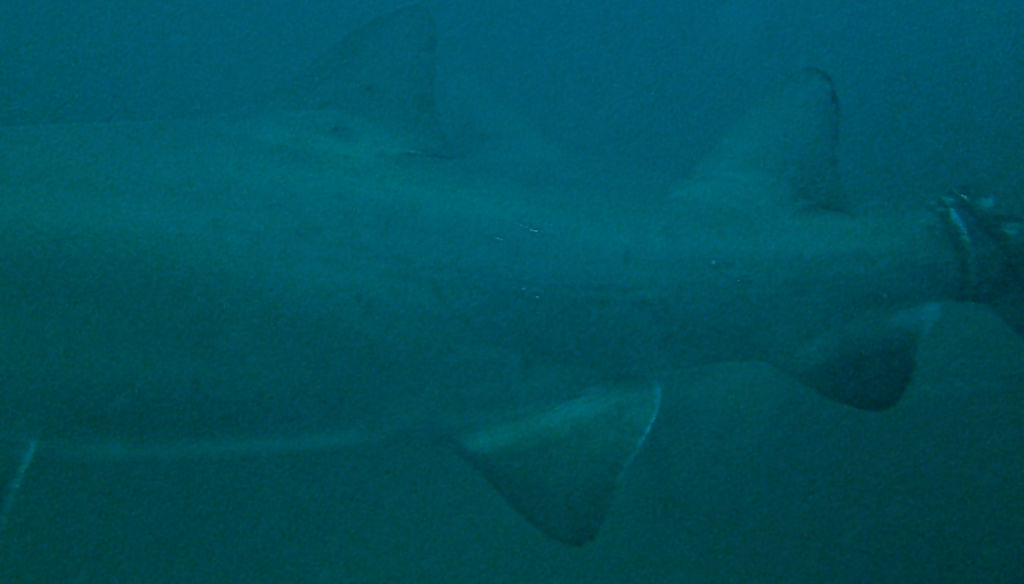 b1e31205-3da7-4787-8214-f25f9a7a28da