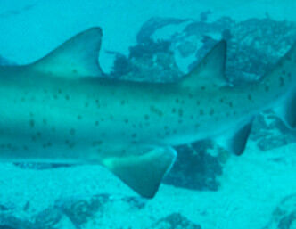 8525593e-7224-47e7-b142-94126f01daa3