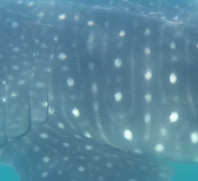 1cf3f24b-d2d8-40c0-ac50-c4d27dd6e1f1