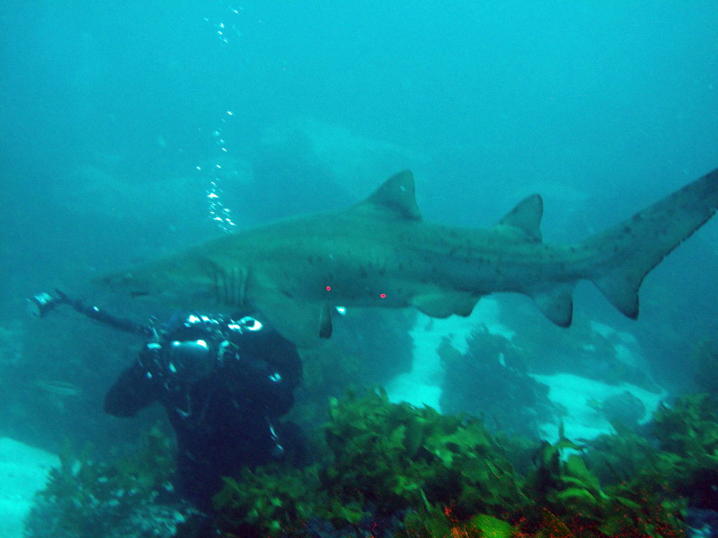 c601e735-aa86-4032-b066-a84ac664ab2f