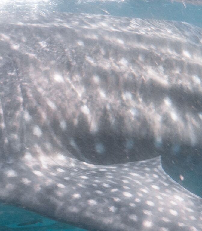 00bbd222-1c68-4ab5-a6c3-b6c7c74bf5aa