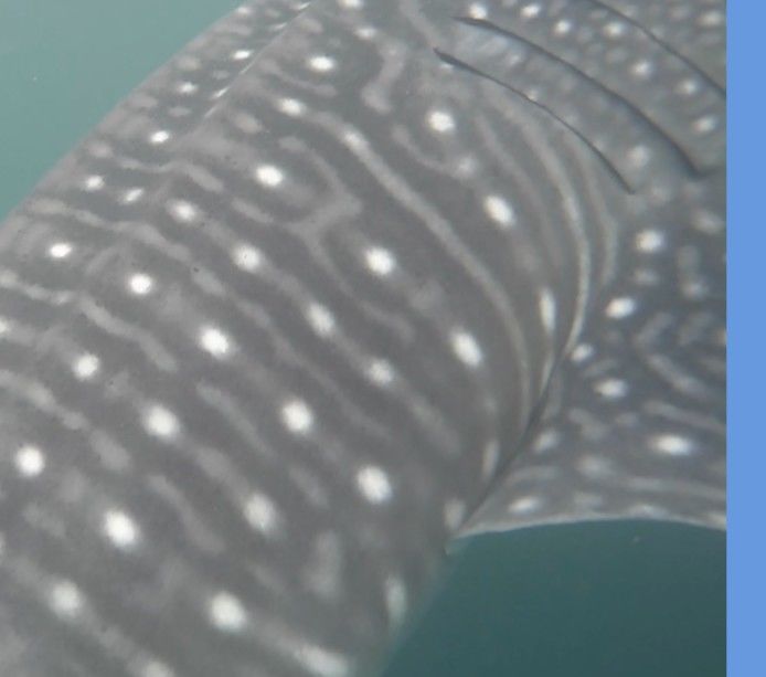 80204f7f-6fb6-426c-9933-c7e0d1d18160