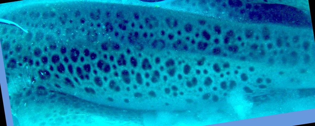 eb5689c8-ae76-4106-b900-118de593e511