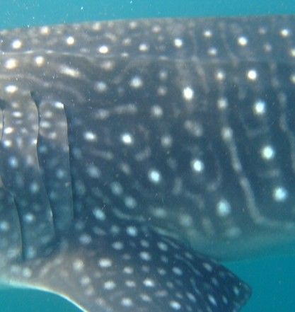 16f7cdb0-003c-42eb-aa4a-cdefb59f7acf