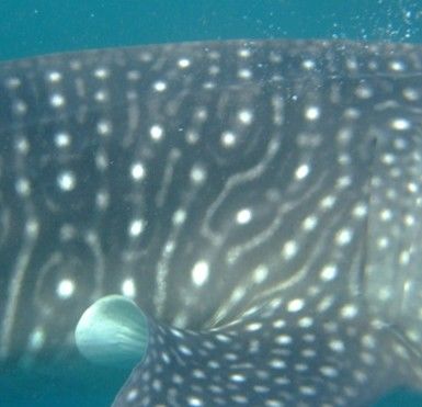 16f7cdb0-003c-42eb-aa4a-cdefb59f7acf