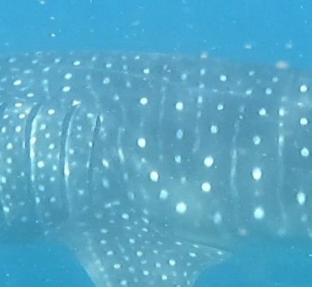 6ff0ba76-db4c-4c4d-84f1-2f8fd42ce662