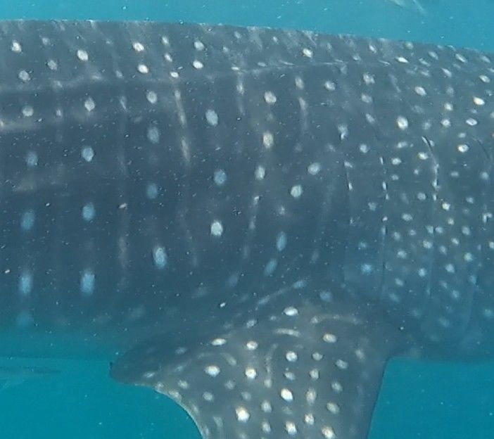 6ff0ba76-db4c-4c4d-84f1-2f8fd42ce662