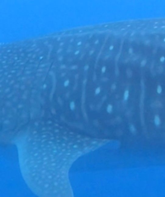 ae20f901-14f7-4360-bbab-6f76a7d200c0