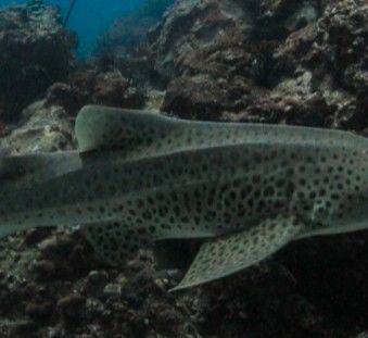 083f1a98-b58b-4d0c-86c1-026fb9c6711a