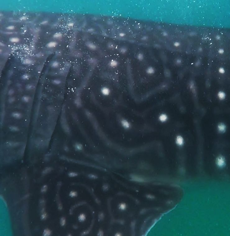 7844d3b0-db1d-4eca-b8fb-78ce7f654362