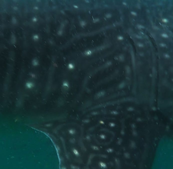 7844d3b0-db1d-4eca-b8fb-78ce7f654362